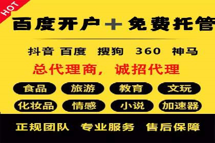 谷歌竞价广告的创意执行与效果评估——某品牌案例